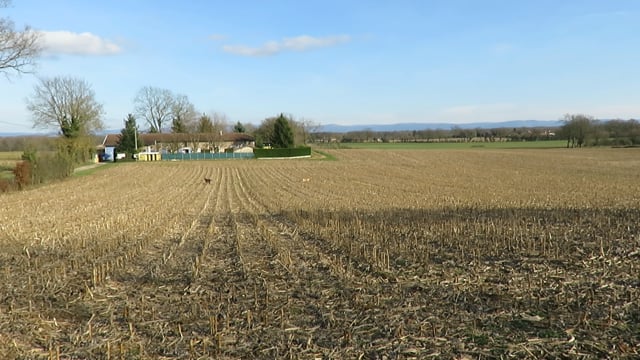 MVI_0701